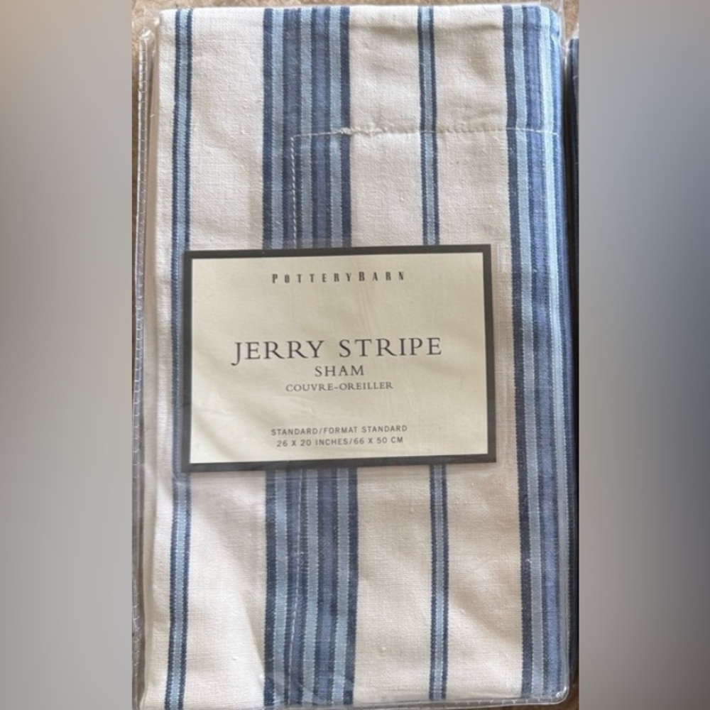 Pottery Barn Jerry Stripe Sham - Blue and White